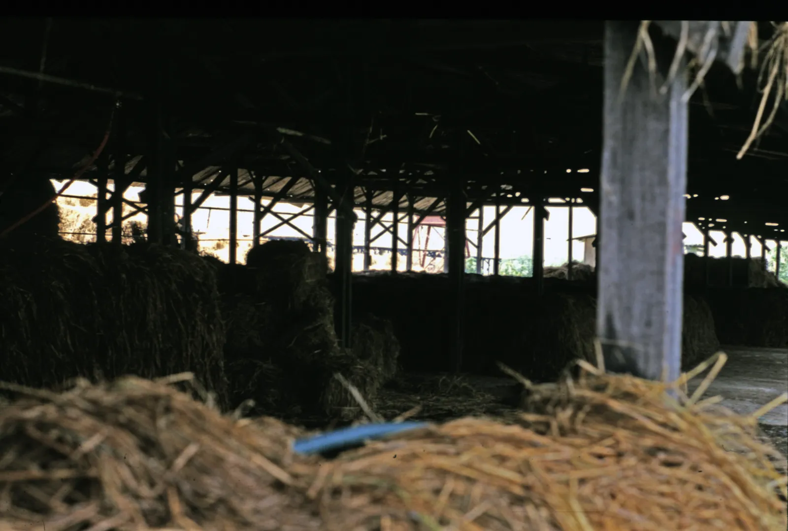 Straw and compost heaps under an open-sided composting shed at the PT Dieng Djaya button-mushroom farm, Wonosobo, Central Java (archival, 1979); dim frame. Downloaded as the 3840px Commons JPEG render; original is 4964x3340 image/tiff (99 MB).
